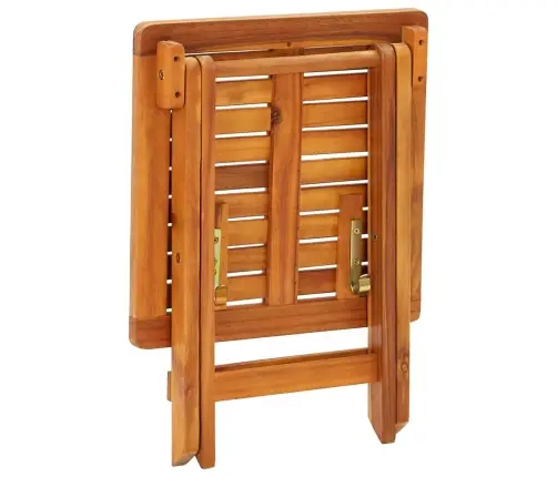 2-Osaline Lamamistoolide Komplekt Laua Ja Patjadega, Akaatsiapuit