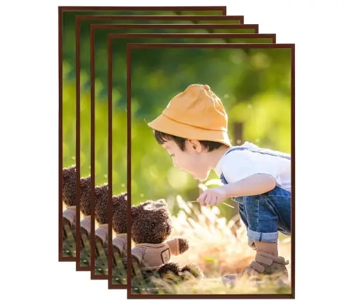 Foto Rāmji, 5 Gab., Sienai, Galdam, Bronzas Krāsā, 70X90Cm, Mdf Vidaxl