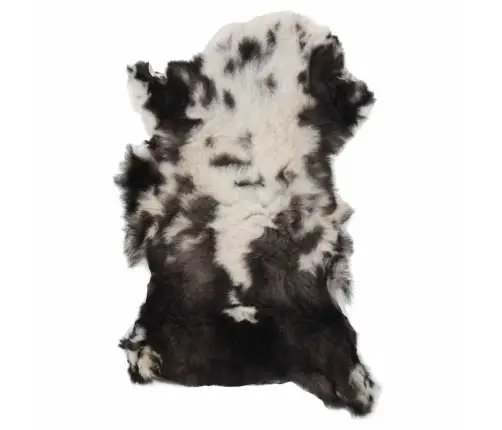 Aitāda, Krāsaina, (60-70)X(90-100) Cm Vidaxl