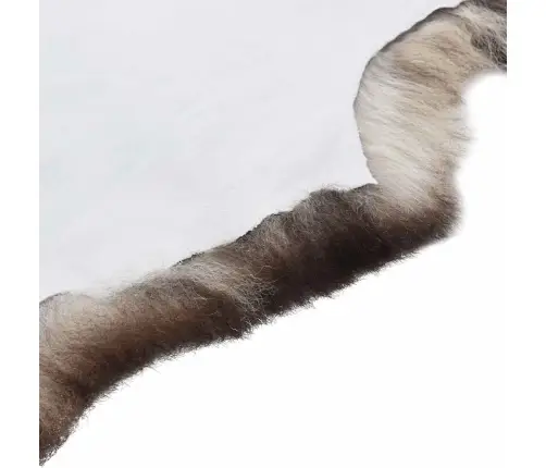 Aitāda, Krāsaina, (60-70)X(90-100) Cm Vidaxl