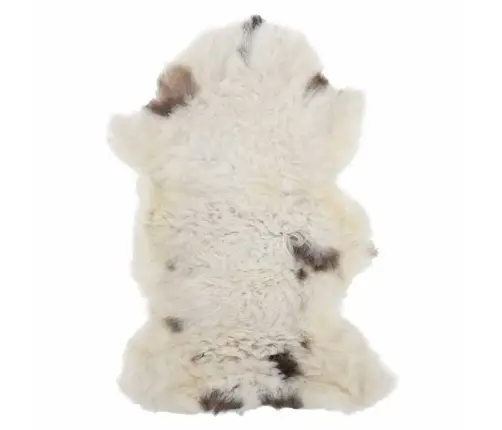 Aitāda, Krāsaina, (60-70)X(90-100) Cm Vidaxl