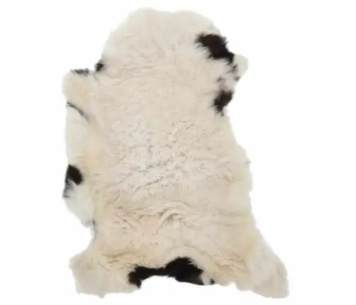 Aitāda, Krāsaina, (60-70)X(90-100) Cm Vidaxl