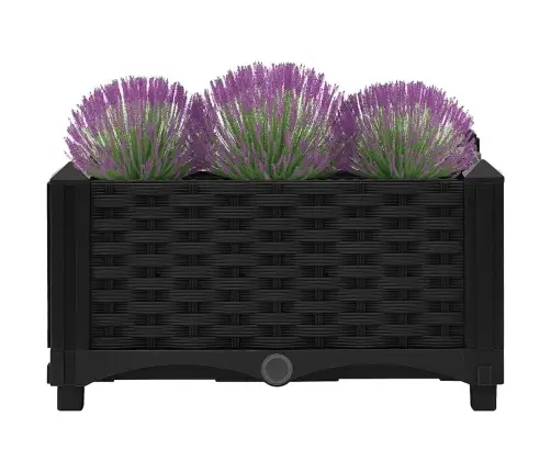 Taimekast 40 X 40 X 23 cm Polüpropüleen