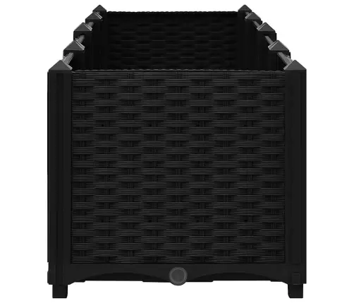 Aukštas Lovelis, 160X40X38cm Polipropilenas