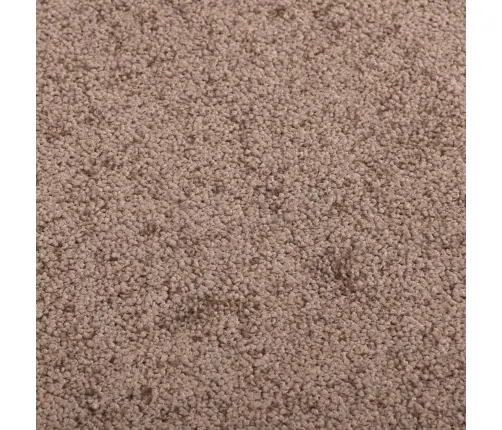 Durvju Paklājs, Brūns, 60X80 Cm Vidaxl