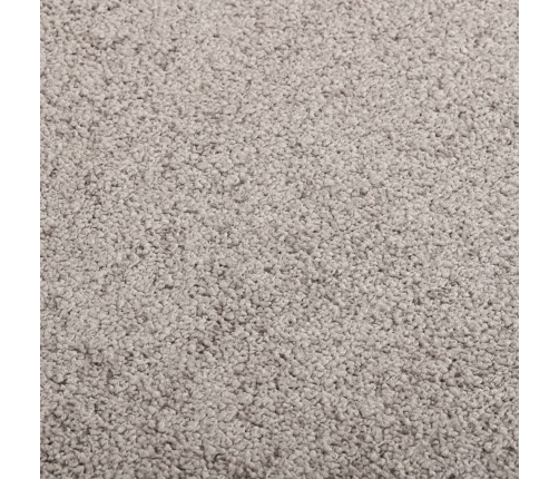 Durvju Paklājs, Pelēks, 80X120 Cm Vidaxl