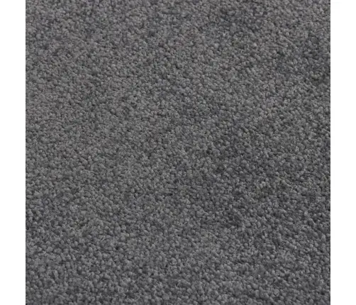 Uksematt, Antratsiit, 40 X 60 Cm