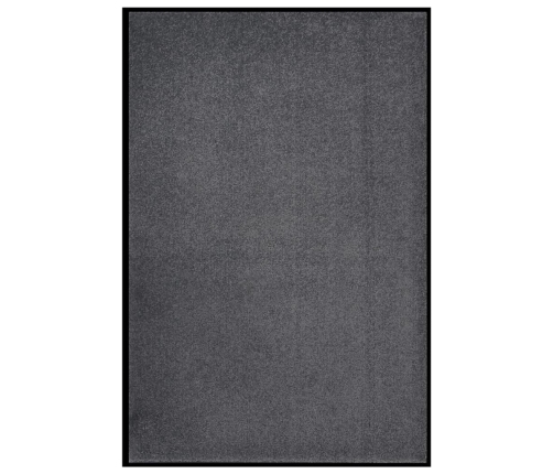 Durvju Paklājs, Antracītpelēks, 80X120 Cm Vidaxl