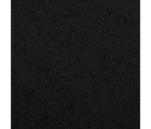 Durvju Paklājs, Melns, 60X80 Cm Vidaxl