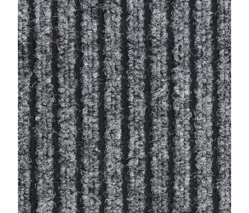 Durvju Paklājs, Svītrains, Pelēks, 80X120 Cm Vidaxl