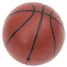 Basketbola Komplekts, Regulējams 109-141 Cm, Pārvietojams Vidaxl