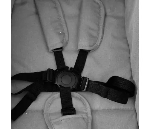 Dvīņu Ratiņi, Gaiši Pelēki Ar Melnu, Tērauds Vidaxl