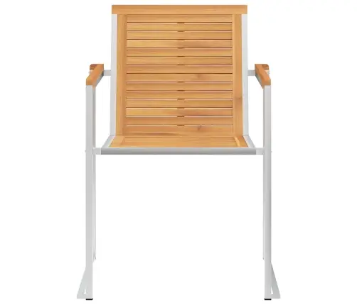 Sodo Kėdės Su Pagalvėlėmis, 8Vnt., Tikmedžio Medienos Masyvas