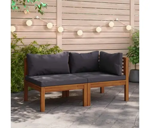 2-Osaline Diivanikomplekt Tumehallide Patjadega, Akaatsiapuit