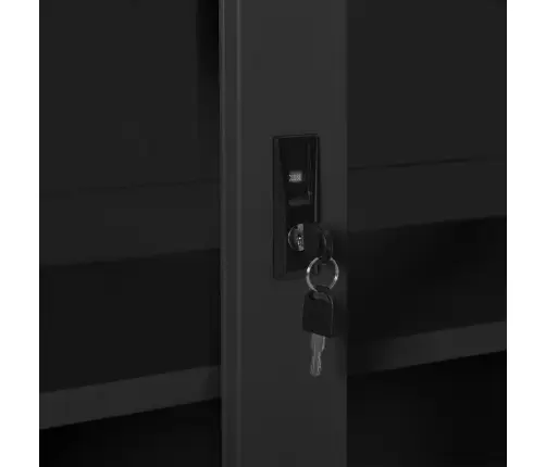 Liugustega Kapp, Antratsiit, 90 X 40 X 90 cm Teras