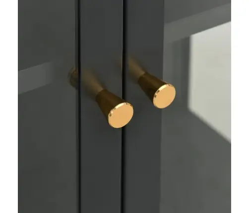 Puhvetkapp, Antratsiit, 75 X 35 X105 cm Teras Ja Klaas