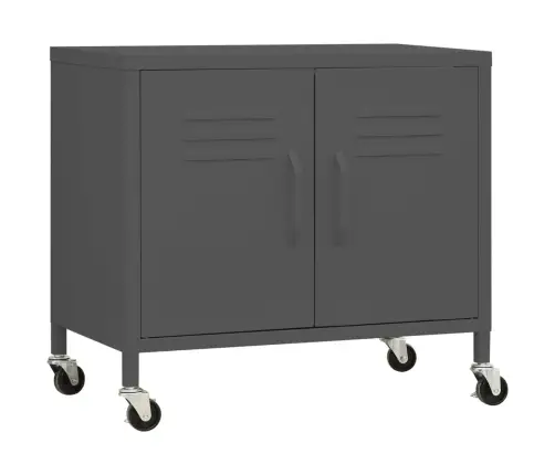 Hoiukapp, Antratsiit, 60X35X56 cm Teras