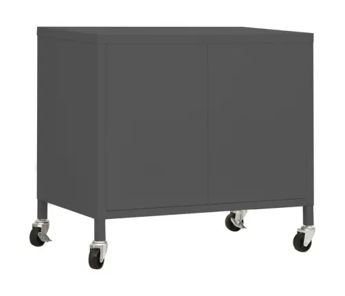 Hoiukapp, Antratsiit, 60X35X56 cm Teras