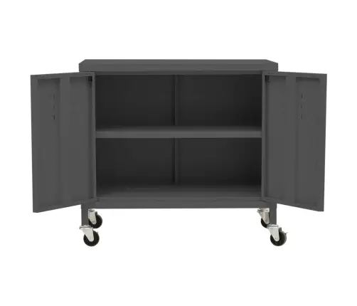 Hoiukapp, Antratsiit, 60X35X56 cm Teras