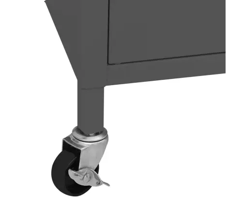 Hoiukapp, Antratsiit, 60X35X56 cm Teras