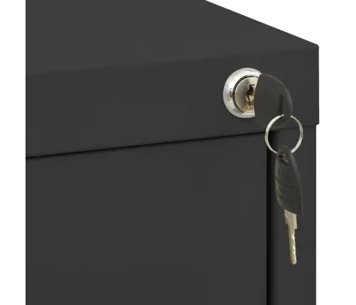 Spintelė Dokumentams, Antracito Spalvos, 46X62X133cm Plienas