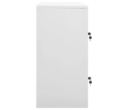 Lukustatav Hoiukapp, Helehall Ja Punane, 90X45X92,5 cm Teras