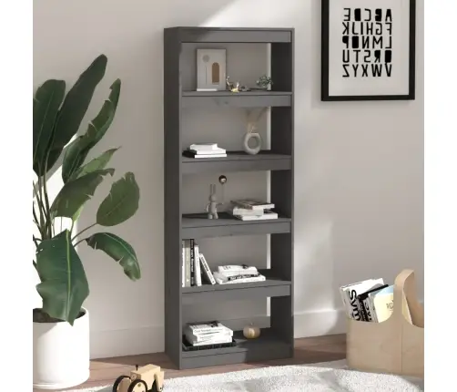 Spintelė Knygoms/Kambario Pertvara, Pilka, 60X30X167,5cm Pušis