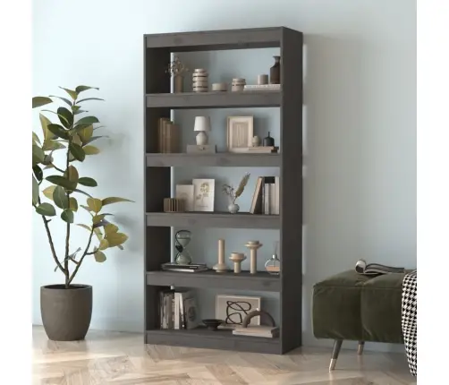 Raamaturiiul/Ruumijagaja, Hall, 80X30X167,4 cm Täismännipuit