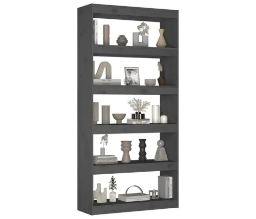 Raamaturiiul/Ruumijagaja, Hall, 80X30X167,4 cm Täismännipuit