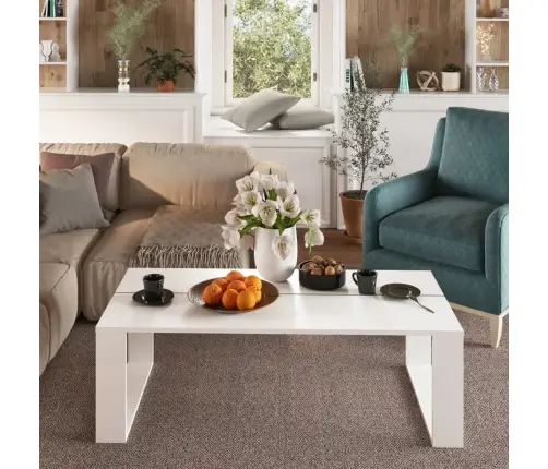 Kohvilaud, Valge, 110 X 50 X 35 cm Tehispuit