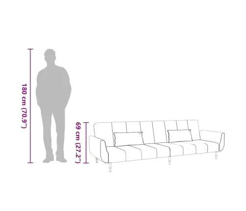 Dvivietė Sofa-Lova Su Dvejomis Pagalvėmis, Vyno, Aksomas