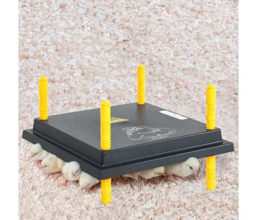 Tibude Ja Pardipoegade Soojendusplaat Temperatuuriregulaatoriga