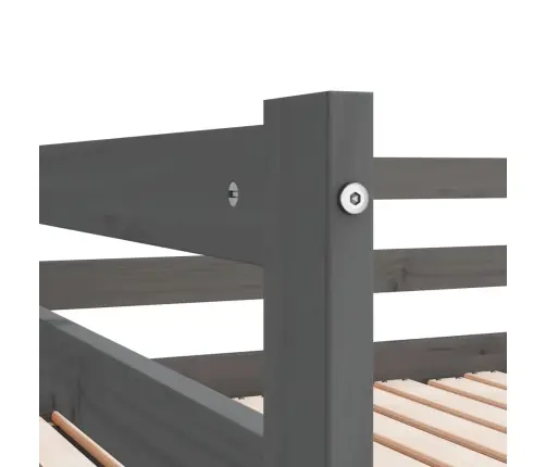 Väljatõmmatav Päevavoodi Ilma Madratsita, Hall, 2 X (90X200) Cm