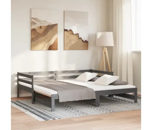 Väljatõmmatav Päevavoodi Ilma Madratsita, Hall, 2 X (90X200) Cm