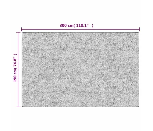 Paklājs, 190X300 Cm, Pelēks, Mazgājams, Neslīdošs Vidaxl Paklājs, 190X300 Cm, Pelēks, Mazgājams, Neslīdošs Vidaxl