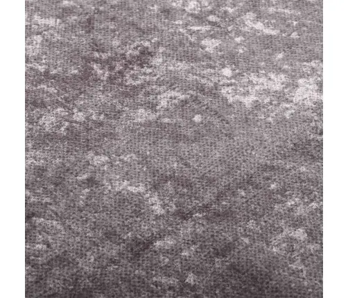 Vaip, Pestav, 80 X 300 cm Hall, Libisemisvastane