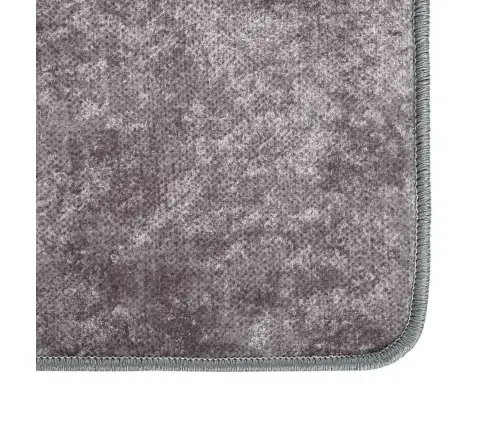 Vaip, Pestav, 80 X 300 cm Hall, Libisemisvastane