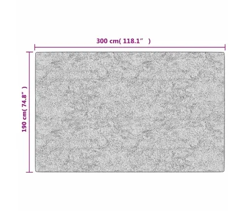 Paklājs, 190X300 Cm, Daudzkrāsains, Mazgājams, Neslīdošs Vidaxl