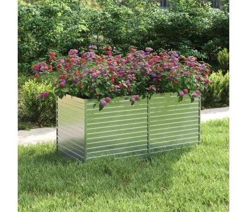 Peenrakast, 160 X 80 X 77 cm Tsingitud Teras, Hõbedane