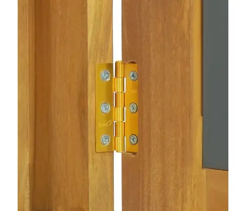 Skapītis Ar Spoguli, 60X10X40 Cm, Masīvs Tīkkoks Vidaxl