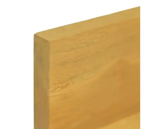 Sienas Plaukti, 2 Gab., 110X10X10 Cm, Masīvs Tīkkoks Vidaxl