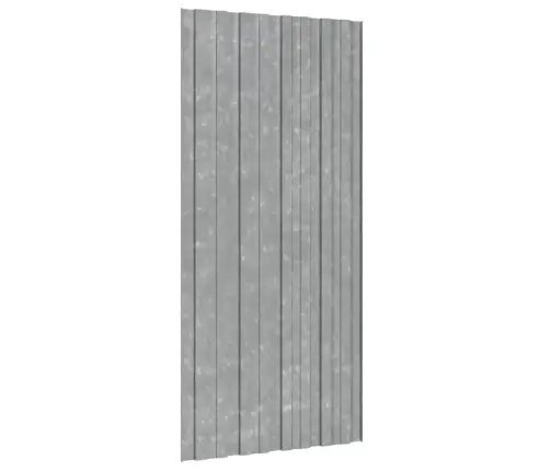 Stogo Plokštės, 12Vnt., Sidabrinės, 100X45cm Plienas