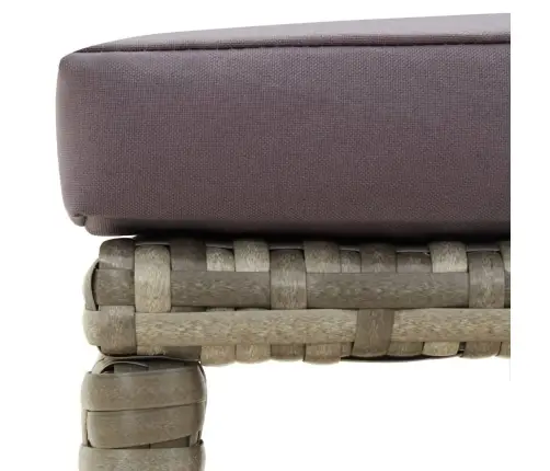 Dārza Soliņi, 4 Gab., Ar Matračiem, Pelēka Pe Rotangpalma Vidaxl