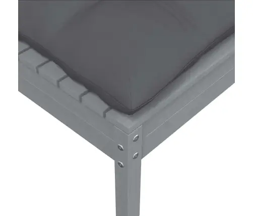 Dārza Soliņš Ar Antracītpelēku Matraci, Pelēks Priedes Koks Vidaxl