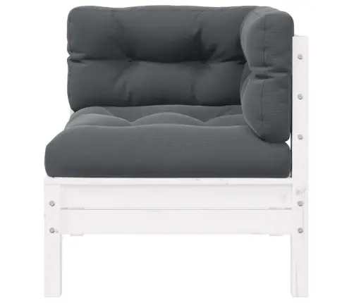 Dvivietė Sodo Sofa Su Pagalvėlėmis, Balta, Pušies Masyvas