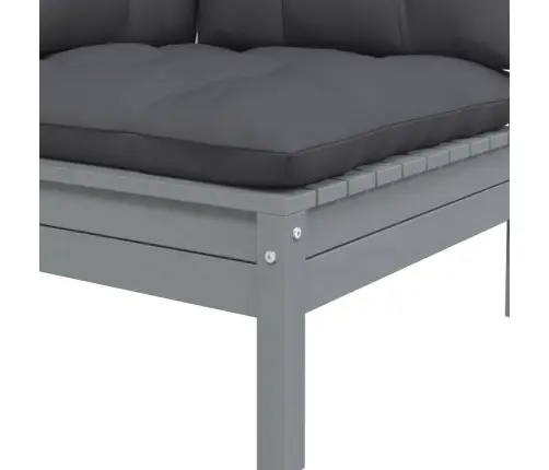 Dvivietė Sodo Sofa Su Pagalvėlėmis, Pilka, Pušies Masyvas