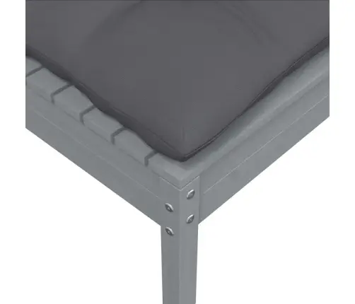 2-Vietīgs Dārza Dīvāns Ar Spilveniem, Pelēks Priedes Masīvkoks Vidaxl