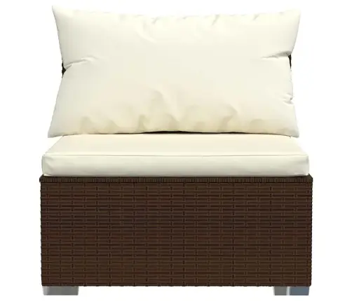 Vidurinė Sodo Sofos Dalis Su Pagalvėlėmis, Ruda, Poliratanas