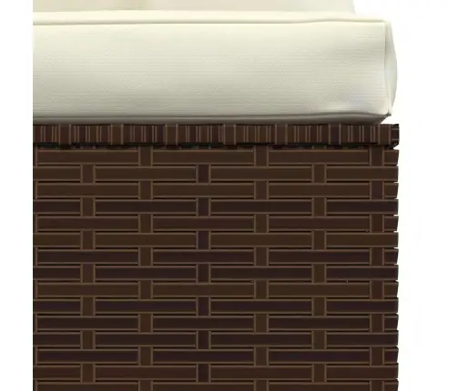 Vidurinė Sodo Sofos Dalis Su Pagalvėlėmis, Ruda, Poliratanas