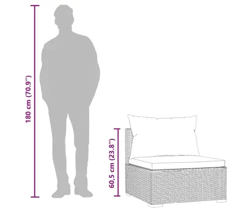 Vidurinė Sodo Sofos Dalis Su Pagalvėlėmis, Ruda, Poliratanas